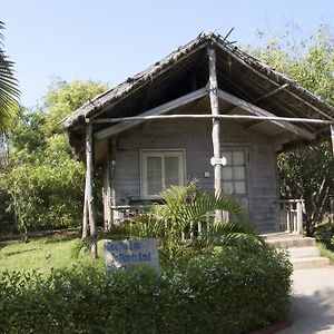 Forest Eco Cottage
